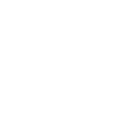 Logo for Tritium DCFC Limited