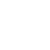 Logo for Pros Holdings Inc