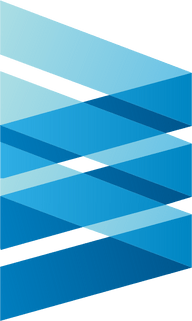 Logo for Envestnet Inc