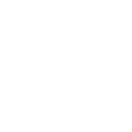 Logo for AS Ekspress Grupp