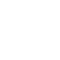 Logo for NetSol Technologies Inc