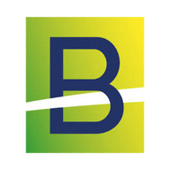Logo for Brazilian Rare Earths Limited