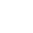Logo for Wise plc