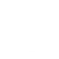 Logo for Wise plc