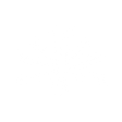 Logo for Bushveld Minerals Limited
