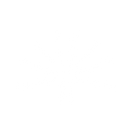 Logo for Bushveld Minerals Limited