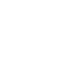 Logo for Slang Worldwide Inc