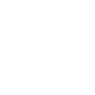 Logo for Acconeer