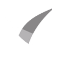 Logo for Shine Justice Ltd