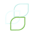 Logo for Scales Corporation Limited