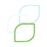 Logo for Scales Corporation Limited