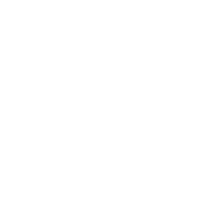 Logo for Silex Systems Limited