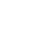 Logo for Lens Technology Co Ltd