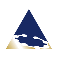 Logo for Catalyst Metals Limited