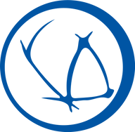 Logo for Mistras Group Inc