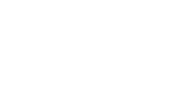 Logo for Chinook Therapeutics Inc