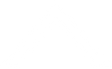 Logo for Pyxus International Inc