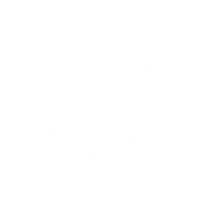 Logo for Arch Capital Group Ltd