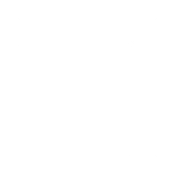 Logo for Fidelis Insurance Holdings Limited