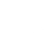 Logo for BOSA Technology Holdings Limited