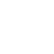 Logo for BH Macro Limited