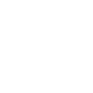 Logo for Snail Inc