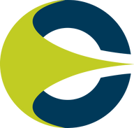 Logo for Niagen Bioscience Inc