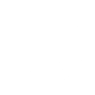 Logo for Wuliangye Yibin Co Ltd