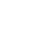 Logo for Fold Holdings Inc
