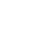 Logo for LGI Limited