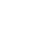 Logo for Shenzhen Salubris Pharmaceuticals Co Ltd