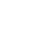 Logo for Silergy