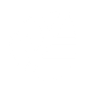 Logo for Aspen Insurance Holdings Limited