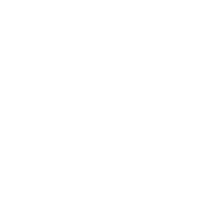 Logo for Biotricity Inc