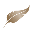 Logo for Plumas Bancorp