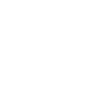 Logotype for Palantir Technologies Inc