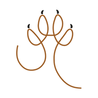 Logo for Anima Group