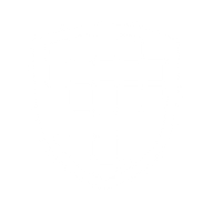 Logo for Digital Ally Inc