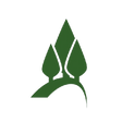 Logo for Pinetree Capital Ltd