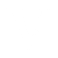 Logo for Vivara Participações S.A.