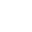 Logo for Varroc Engineering Ltd