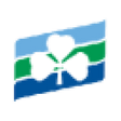 Logo for Irish Continental Group