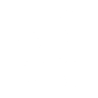 Logo for NuScale Power Corporation