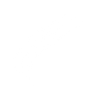 Logo for ACME Solar Holdings Limited