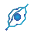 Logo for Clarity Pharmaceuticals Ltd