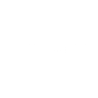 Logo for NTT DATA Group Corporation