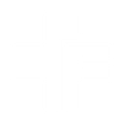 Logo for Faes Farma