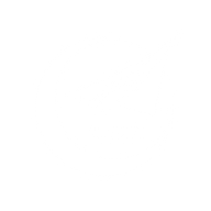 Logo for Avicopter Plc