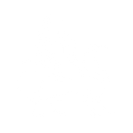 Logo for Gryphon Digital Mining Inc
