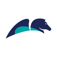 Logo for Pegasystems Inc